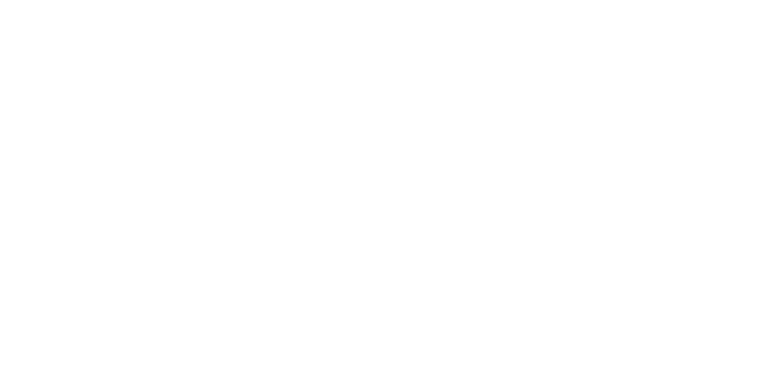 social net