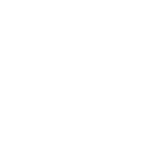 social net logo