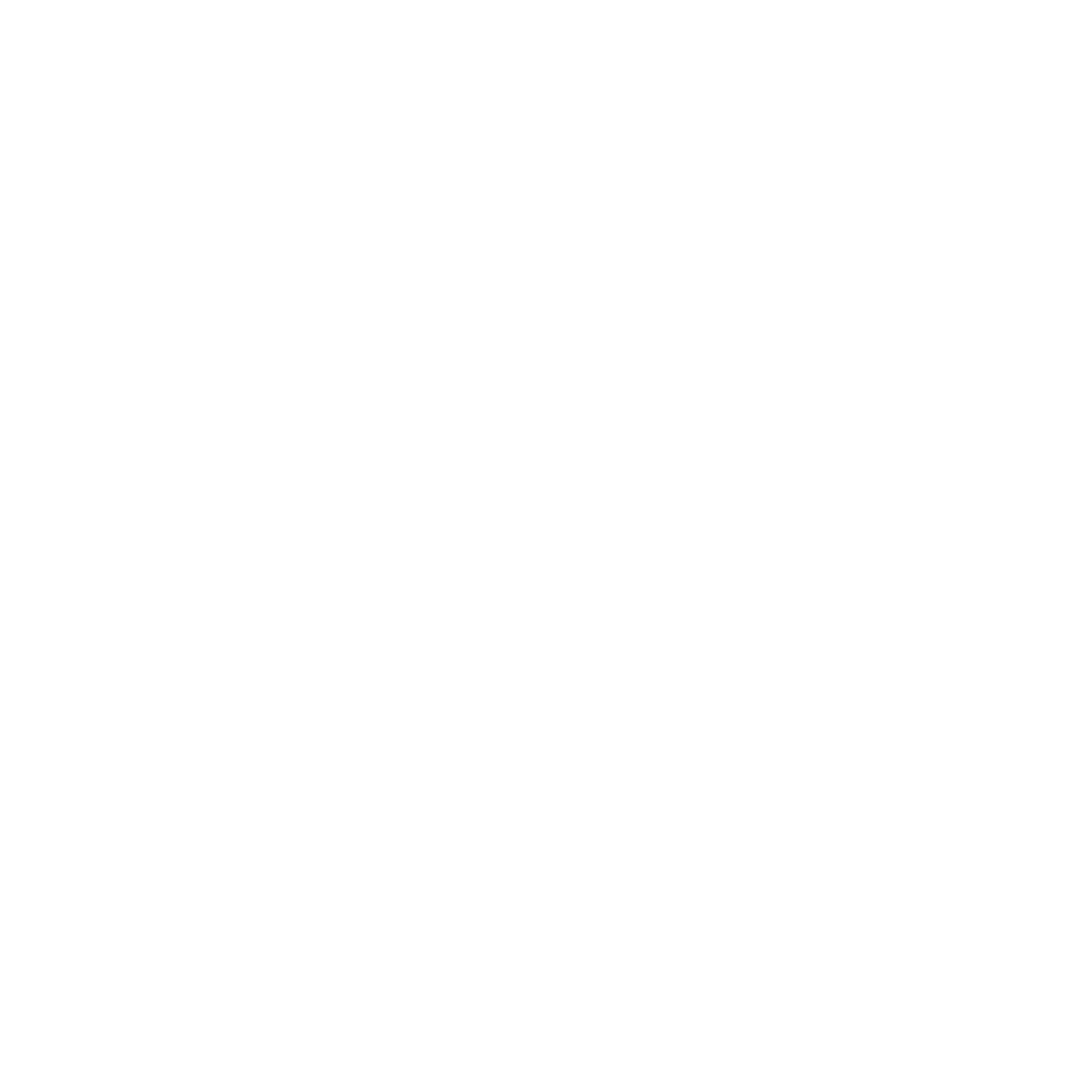 social net logo